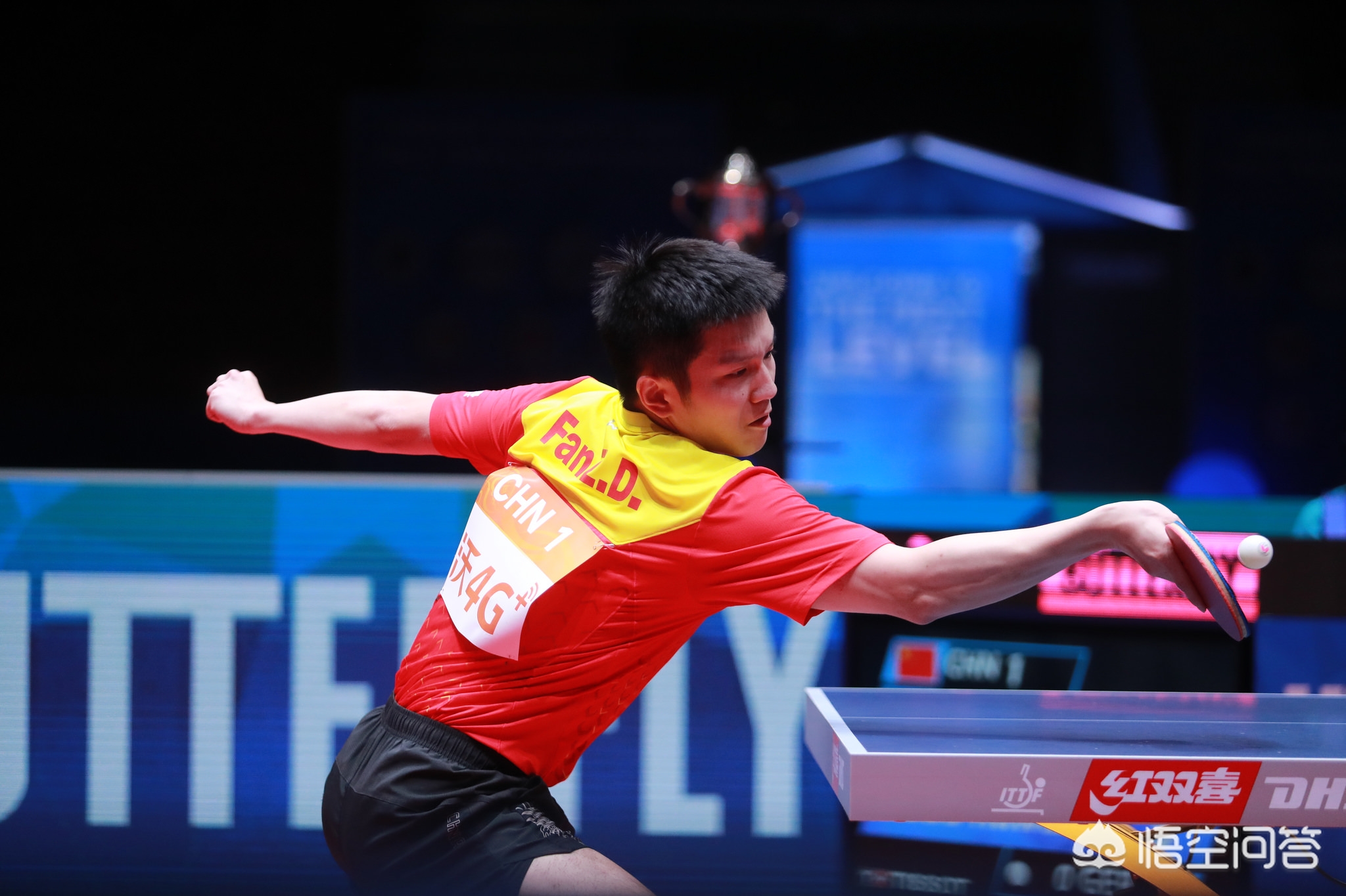 队整体实力 队整体实力