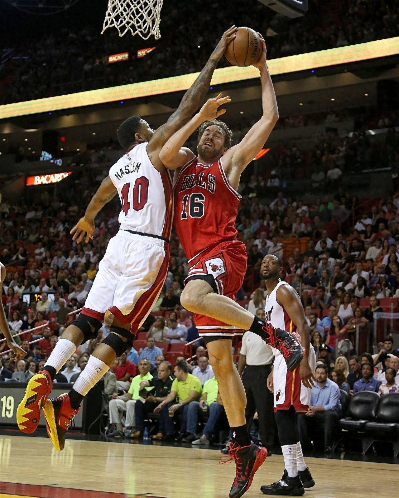 不仅是球员 不仅是球员